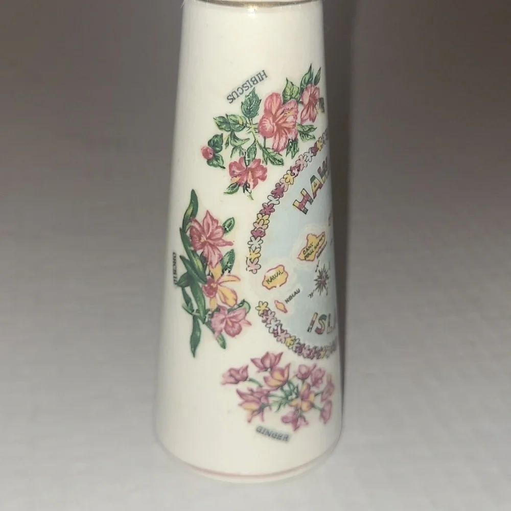 Salt & Pepper Shaker Hawaiian Souvenir purchased 1966 Ceramic Vintage